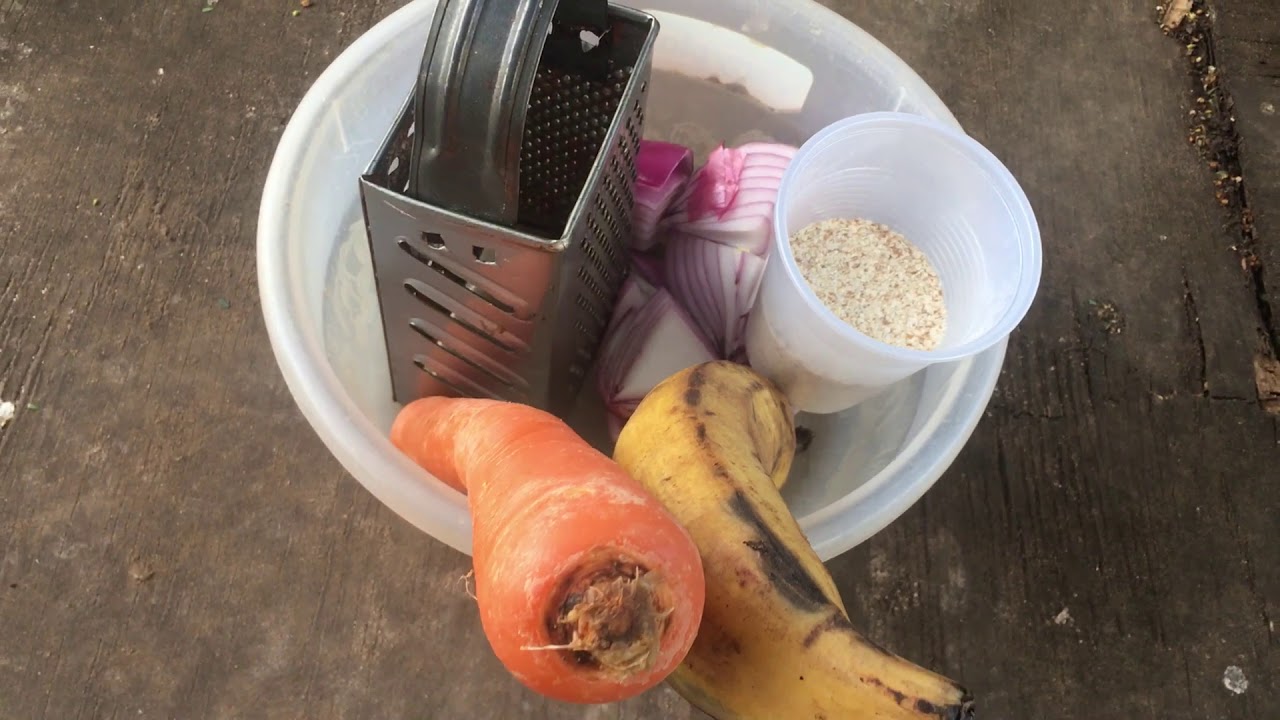 Alimentos diarios de los gallos que estan en cuido