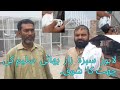 Lahore sabzazar bhai saleem ki chat  lahore pigeons  kabootar bazi nadeem sardar pigeon
