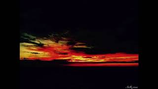 The Nuts - Ark & Pit Spector Seuil Remix