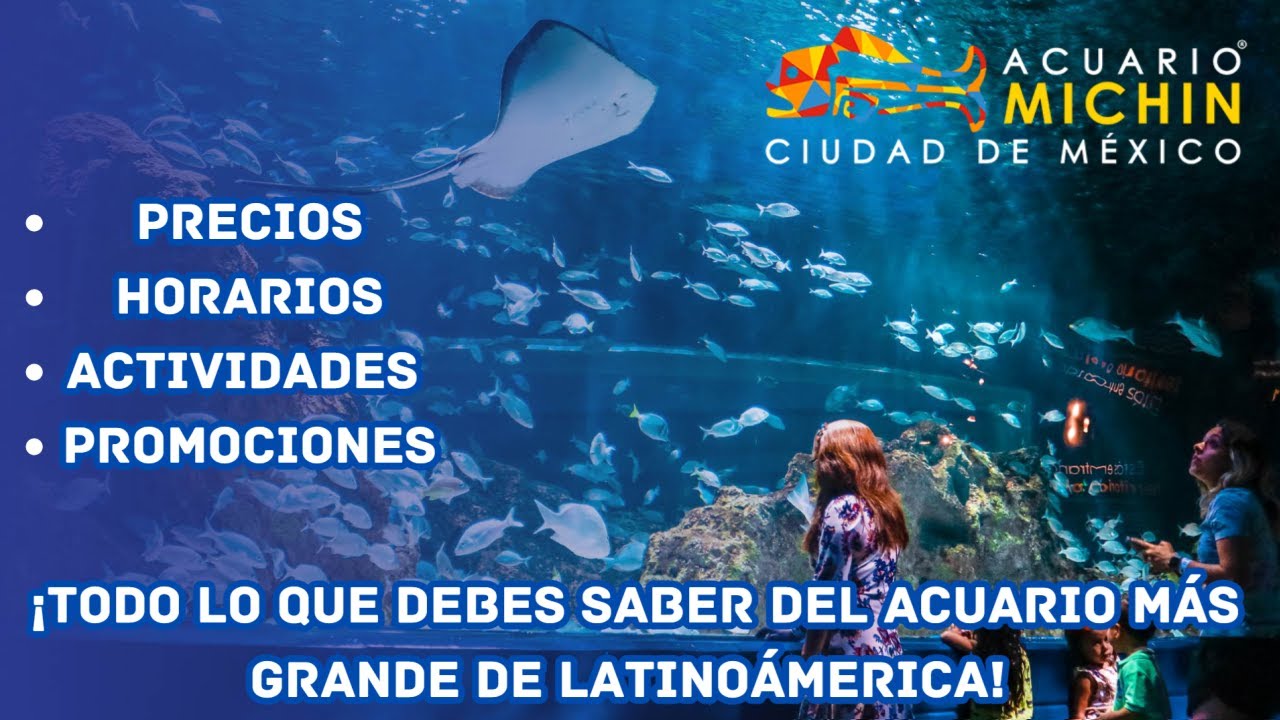 Todo Lo Que Debes Saber del Acuario Michin - El Acuario Más Grande de ...