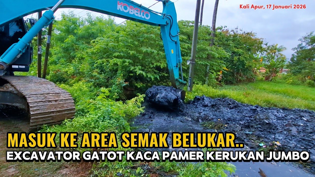 EXCAVATOR GATOT KACA BABAT SEMAK BELUKAR ‼️ LANGSUNG PAMET KERUKAN JUMBONYA..