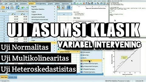 SPSS : Uji Asumsi Klasik Pada Variabel Intervening