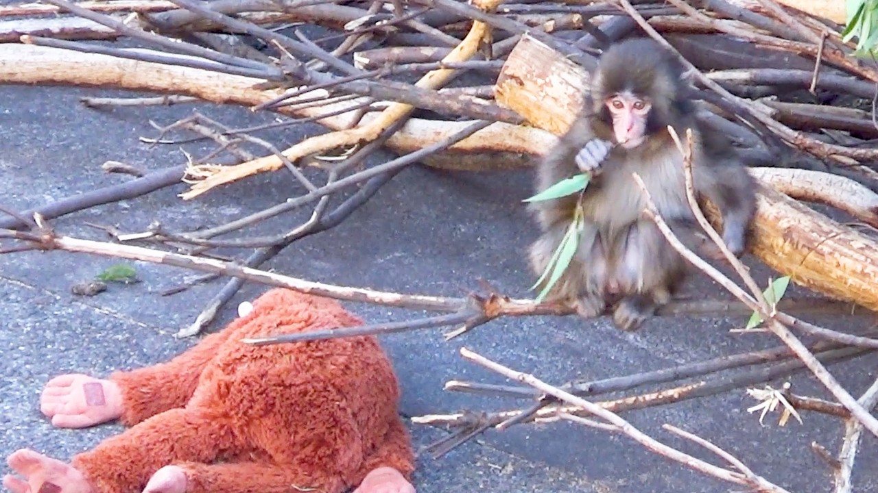 He Brought Mom to See How Much He’s Grown…Sweet Little Punch