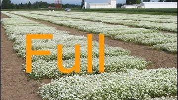 Lattice Designs Webinar Full Recording