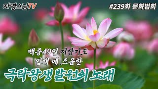 자명스님TV 239회 문화법회 #세계최대청동약사여래대불…