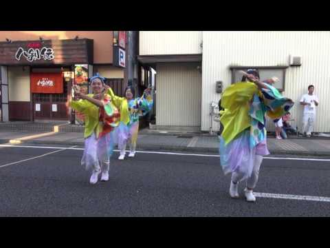 飛燕－多治見（六軒踊りん祭2016）旭会場