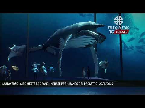 NAUTAVERSO: 16 RICHIESTE DA GRANDI IMPRESE PER IL BANDO DEL PROGETTO | 20/11/2024