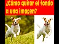 ¿Cómo quitar el fondo a imágenes?