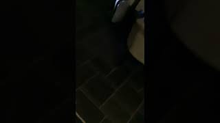 IMG 2209