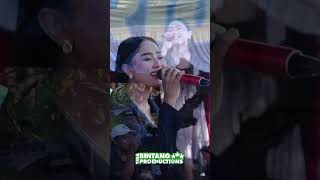 Download Lagu Maesaro - Keder balike #cirebon #organ #organcirebon #orkes #tarling #tarlingcirebonan #patriot MP3