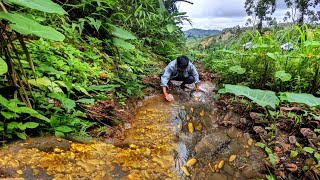 Wow lucky day - Digging for gold and gems along the river at the foot of the mountain is real