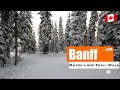 [4K] Very Quiet ASMR Nature Walk, Marsh Loop Trail, Banff National Park | #279