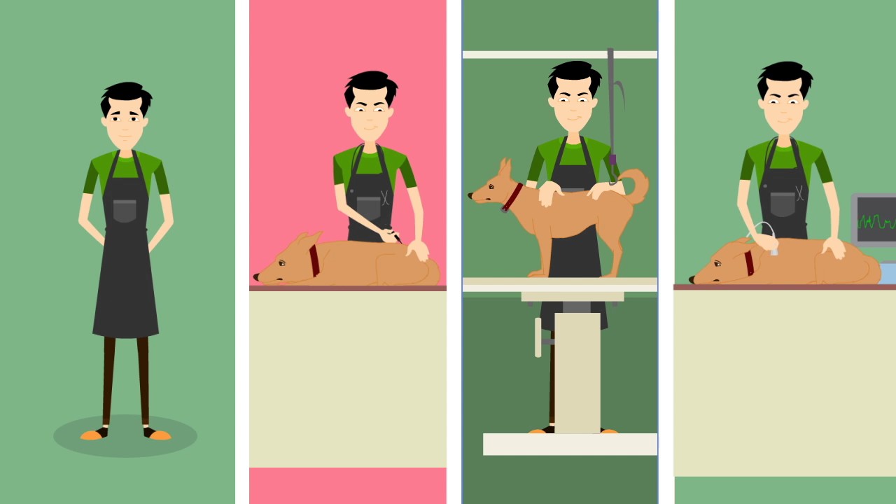 Vet Broadmoor Colorado Springs YouTube