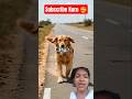 dadima ko kiya help 💓#shorts#goldenretriever #ai #aivideo#greenscreen #trending#story#love#cute