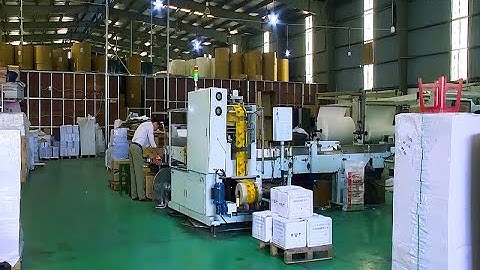 Nỗ lực xanh hóa, hướng tới sản xuất bền vững trong ngành Giấy