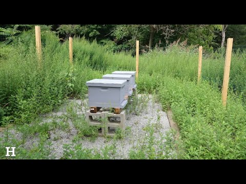 The Hackley School Apiary!