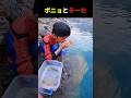 実写版ポニョとそーた
