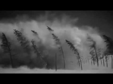 Punk music video thumbnail preview for Fucked Up - Golden Seal