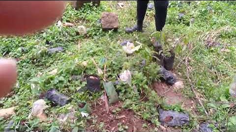 WhatsApp Video 2025 10 20 at 23 56 40 4f83454c