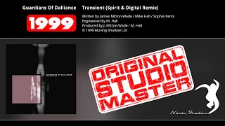 Guardians Of Dalliance: Transient (Spirit & Digital Remix) (SHADOW138-Y) | Moving Shadow