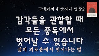 자신의 구원을 위한 수행ㅣ위빳사나 3일 코스 중, 고엔카 선생님 법문 #2 고엔카의 위빳사나 명상2
