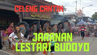 KELUAR NYA CELENG CANTIK ‼️JARANAN LESTARI BUDOYO,DI DESA SAMBI #jaranan #jaranindonesia #celeng