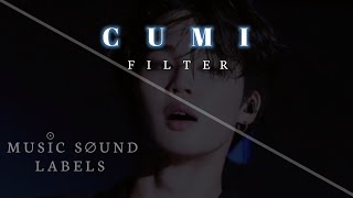 [COMEBACK] FILTER - JIMIN BTS (방탄소년단) COVER BY CUMI
