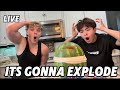 THE WATERMELONS GONNA BURST!! 😱