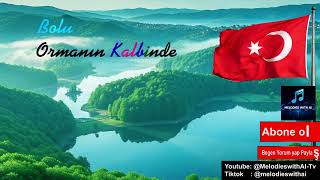 Şarkı Adı: Bolu, Ormanın Kalbinde🎶
