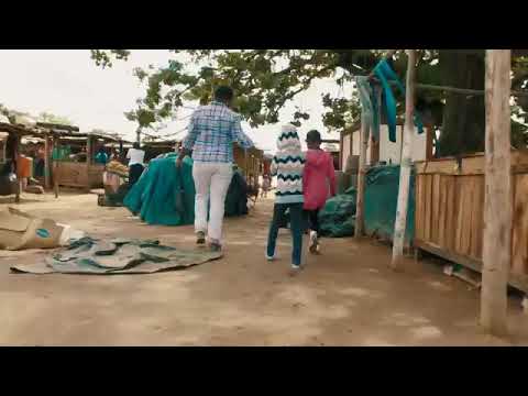 Bantu - Roll ft Shungudzo