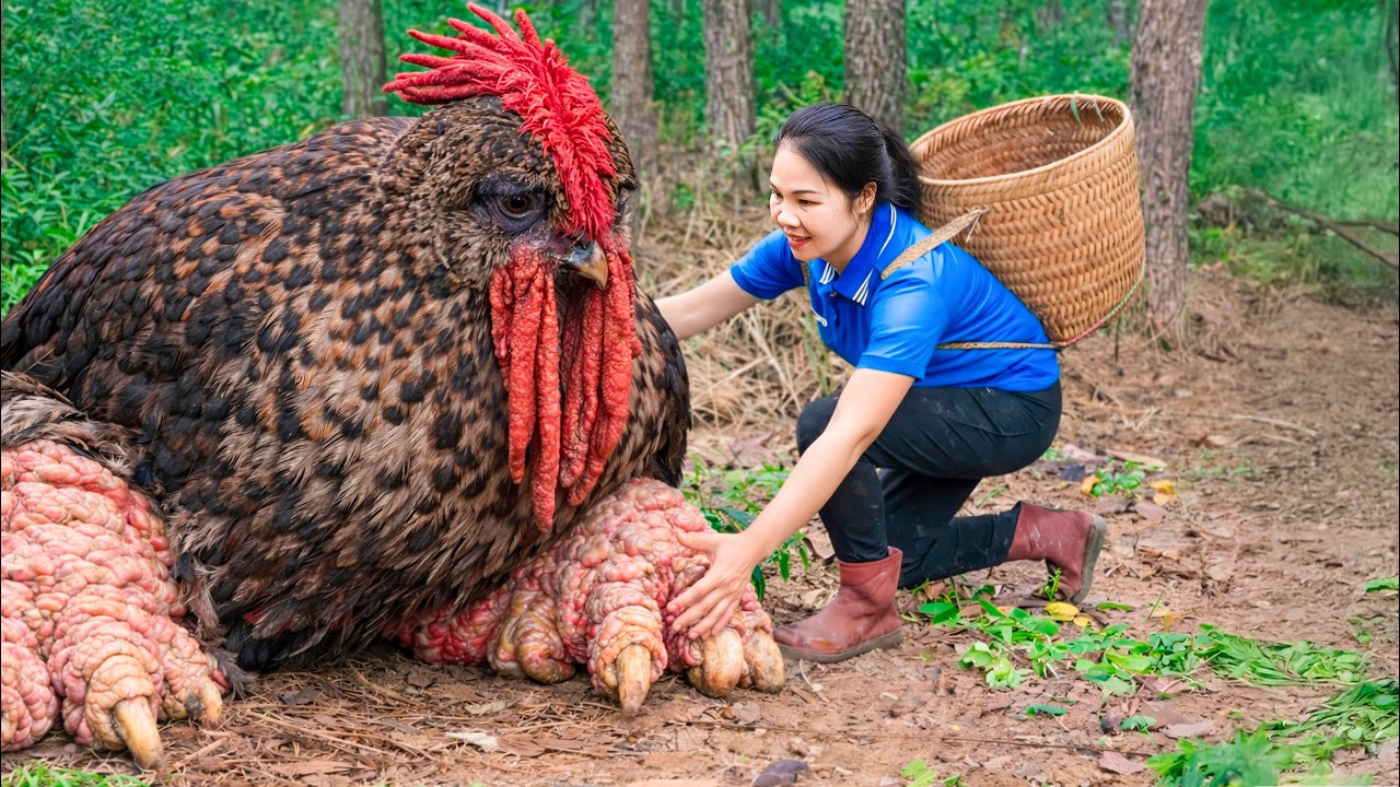 Harvesting Giant Rocket Quail & Go to Market Sell | Bigfoot birds attack and puncture jackfruit
