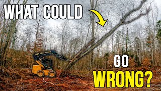 OLD SKID STEER TACKLES LAND CLEARING! (What Could Go Wrong?)