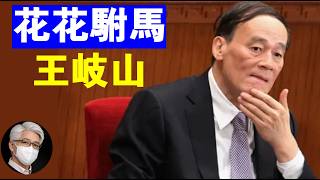 鲁社长：花花駙馬 王岐山丨王岐山的秘書爲何落馬丨董宏丨周亮丨孫力軍