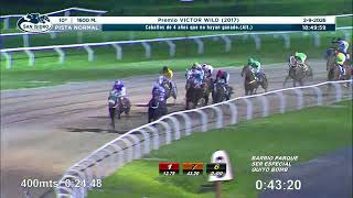 Vidéo de la course PMU PREMIO VICTOR WILD 2017