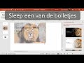 Powerpoint - afbeeldingen grootte wijzigen en verplaatsen