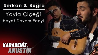 SERKAN AYDIN & BUĞRAHAN DENİZOĞLU - YAYLA ÇİÇEĞİ MİSİN / HAYAT DEVAM EDİYOR Resimi