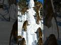 Bandar Ne barf se banaya Bhagwan Ram ki Murti#mankey #bhakti #sriram #jayshreeram ai #shorts