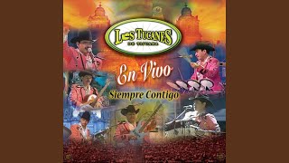Amor Platónico [En Vivo]