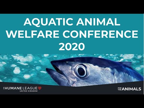 Dr. Lynne Sneddon: Are fishes and crustaceans sentient?