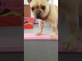 27 09 16 27 09 16