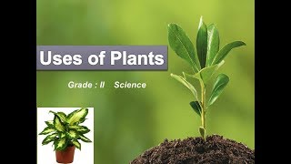 Uses of Plants | Class - 2 EVS | Science for kids | CBSE syllabus Net Worth