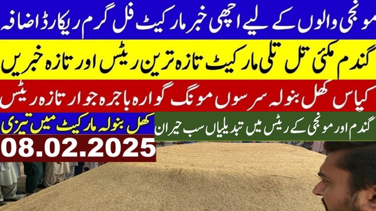 Breaking News Wheat price today/wheat Future price 2025/new Munji dhaan ...