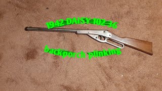 Daisy 102 36 *backporch plinking
