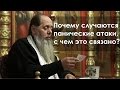 Почему случаются панические атаки, с чем это связано? (прот. Владимир Головин)