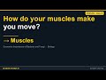 Muscles | ICSE-ISC Class 9 Biology | Synapse