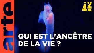 Quelle est l'origine de la vie ? | 42, la réponse à presque tout | ARTE