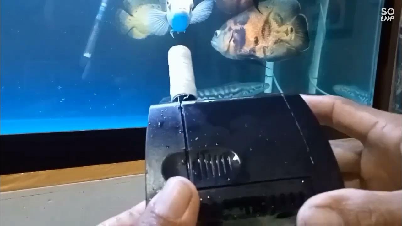 tutorial modifikasi sederhana pompa aquarium agar dasaran aquarium