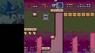 Tsrpr Rta Strats W5-C P-Switched Castle Secret Exit, Small Mario