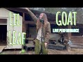 Lil leaf  goat live performance
