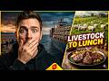 The Dark Truth Behind Meat & Farming Industry
